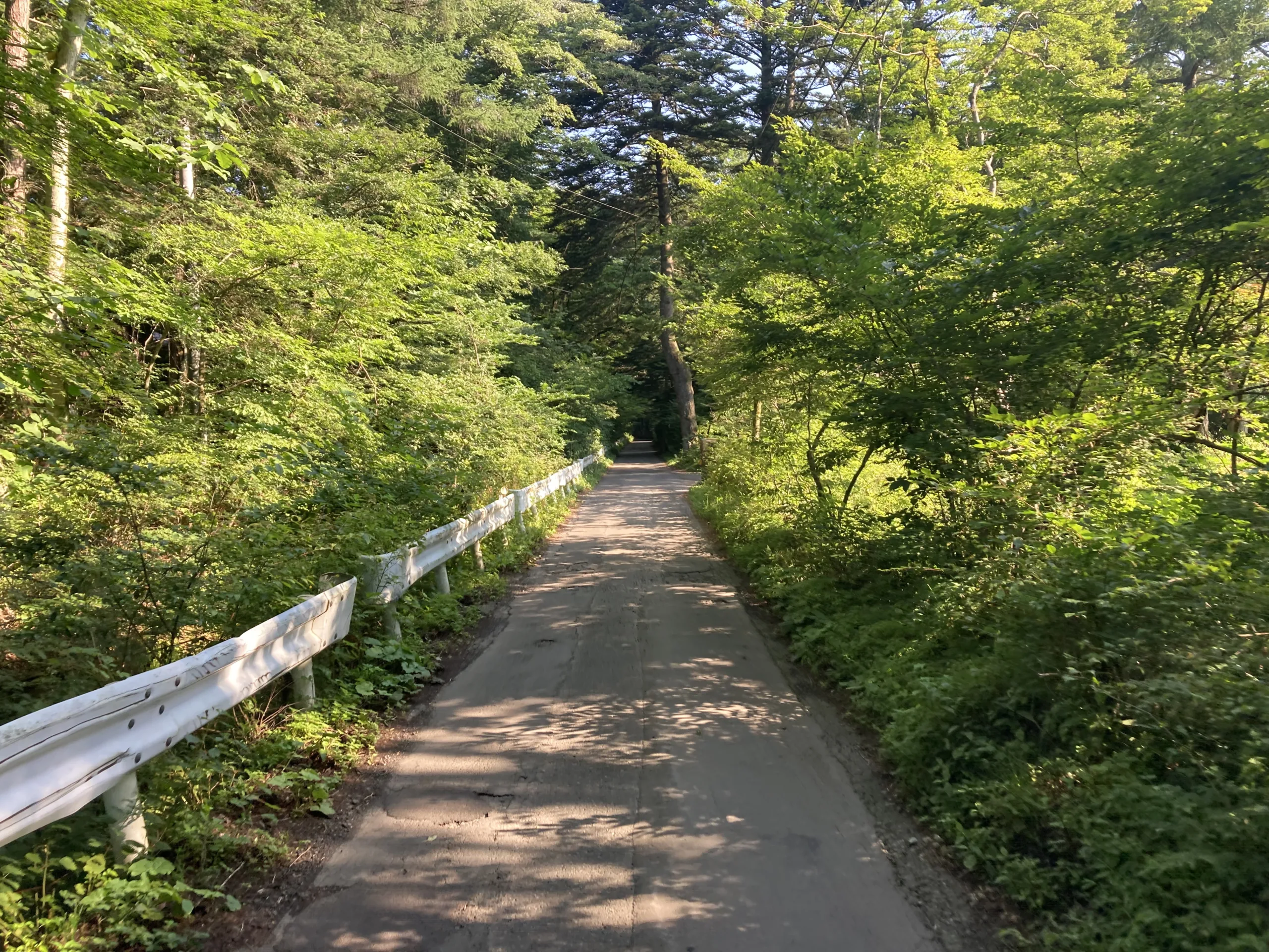 Karuizawa cycling path in forest