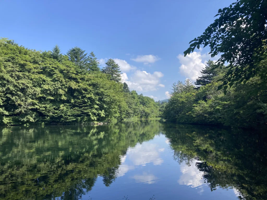 Kumoba pond in summer in Karuizawa